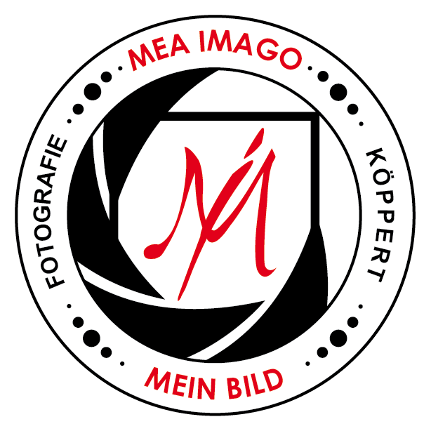 Logo:mea-imago